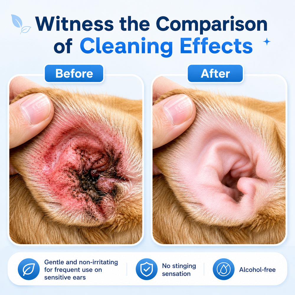 👩‍⚕️Celsiora® Pet Ear Cleansing Solution✅