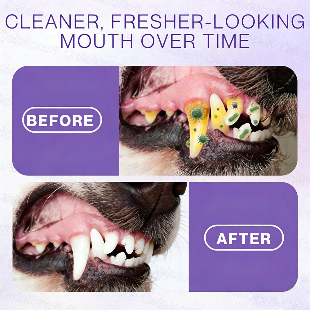 Celsiora® Pet Oral Spray ✅Freshen Breath, Remove Tartar & Promote gum regeneration, stabilize teeth 🦷🦷
