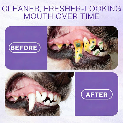 Celsiora® Pet Oral Spray ✅Freshen Breath, Remove Tartar & Promote gum regeneration, stabilize teeth 🦷🦷