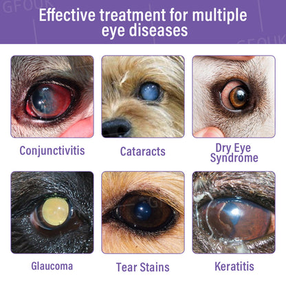 👩‍⚕️GFOUK® NanoCare Pet Eye Drops ☑️ Relieves Conjunctivitis, Dry Eyes, Cataracts, and Keratitis🐶