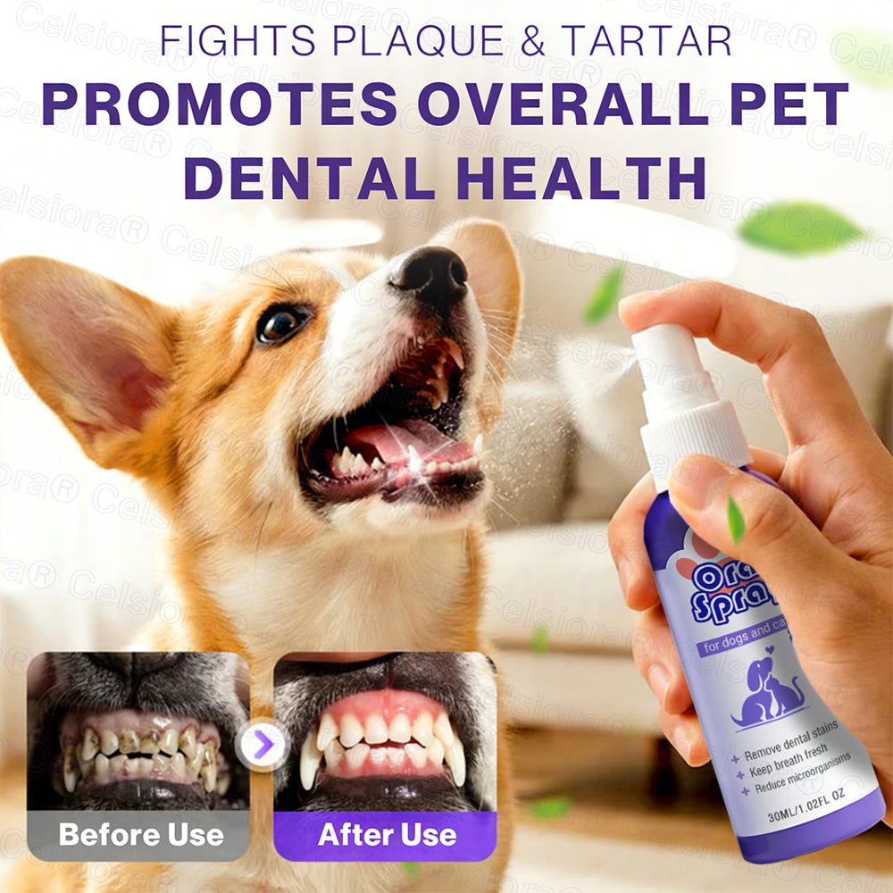 Celsiora® Pet Oral Spray ✅Freshen Breath, Remove Tartar & Promote gum regeneration, stabilize teeth 🦷🦷