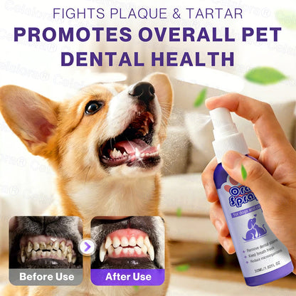 Celsiora® Pet Oral Spray ✅Freshen Breath, Remove Tartar & Promote gum regeneration, stabilize teeth 🦷🦷